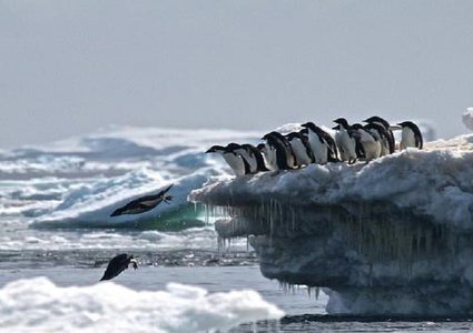 تغير جذري مفاجئ في القطب الجنوبي