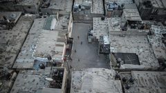 " بالسيب" قصة نجاح لمشروع تطوير واقع المخيمات في فلسطين