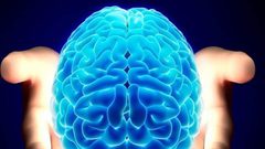 تأخير شيخوخة الدماغ.. كيف يحدث ذلك؟