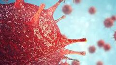 ما هو سبب الاصابة بفيروس "نورو" شديد العدوى ؟