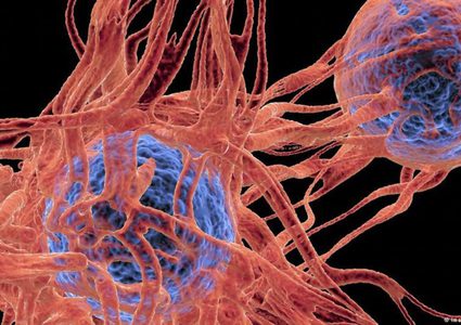 علماء: فايروس يحارب السرطان في سبعة أيام