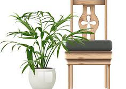 بـ"كرسي ووعاء نبتة".. رجل شجاع ينجح في إخافة اللصوص وإبعادهم!