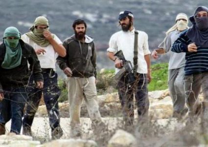 مستوطنون يعتدون بالضرب على طفل وسط مدينة الخليل