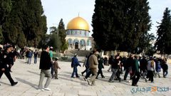 مستوطنون يستأنفون اقتحاماتهم للمسجد الأقصى