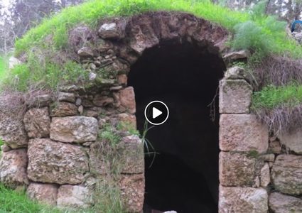 ما لا تعرفة عن قرية بيت سوسين المهجرة