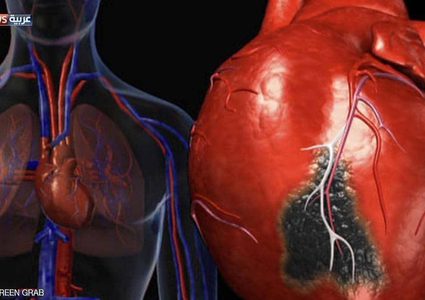 دراسة: رفع الأثقال مفيد لحرق دهون القلب