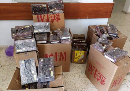 ضبط كمية من التمور غير الصالحة للاستهلاك في الخليل