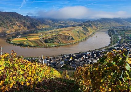 "أنهار من خمر" تتدفق في أمريكا!