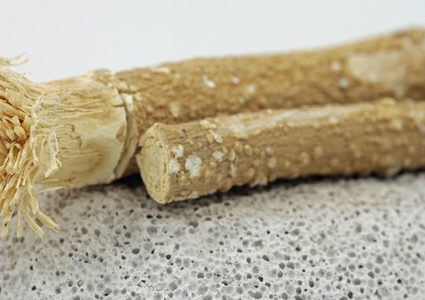 ما مدى فعالية الوسائل البديلة لفرشاة الأسنان؟