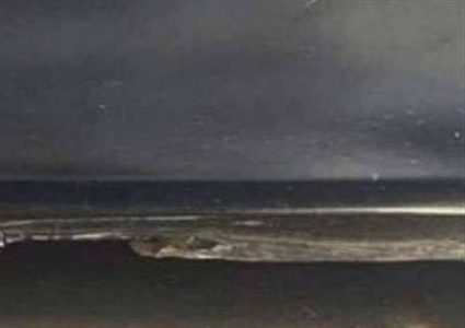 وهم بصري .. ماذا ترون؟