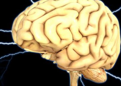 كيف يرسل المخ إشارات إلى الأعضاء للتحرك؟