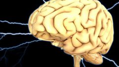 كيف يرسل المخ إشارات إلى الأعضاء للتحرك؟