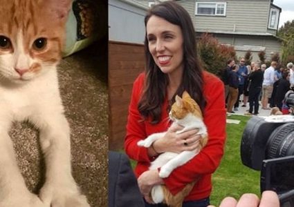 اعتذار رسمي ونعي بعد وفاة "قطة" رئيسة وزراء نيوزيلندا