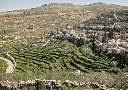 ‎لجنة التراث العالمي تعتمد الخطة الادارية والحفاظية لموقع بتير