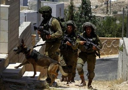 الاحتلال يعتقل عضو ادارة نادي الثوري في بلدة سلوان