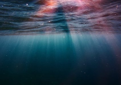 "شيطان البحر" يطلب المساعدة من البشر!