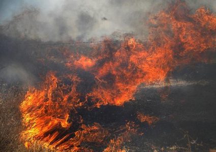 الاحتلال يزعم اندلاع حريق في غابة "شوكداه" بفعل البالونات