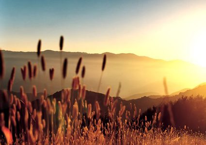 أجواء شديدة الحرارة وجافة