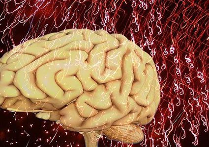 هكذا تحمون دماغكم من التغيرات المرتبطة بالعمر