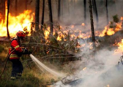 الدفاع المدني: 100 حريق في أعشاب وأشجار خلال 10 ساعات