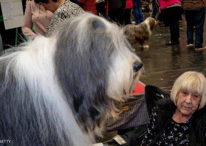 دراسة: الحيوانات تساعد المسنين في السيطرة على الآلام المزمنة