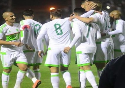 "قد تقولون عني أنني مجنون".. مدرب الجزائر يرد على الجميع