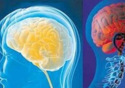 رقاقات في أدمغة الناس لعلاجهم