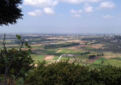 طقس بداية الأسبوع حتى الثلاثاء: لا تغير يذكر وارتفاع تدريجي