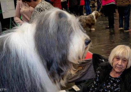 الحيوانات تساعد المسنين في السيطرة على الآلام المزمنة