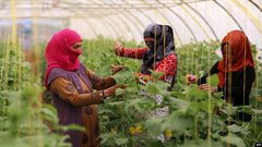دراسة: النساء العاملات يتمتعن مستقبلا بذاكرة عقلية أفضل