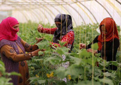 دراسة: النساء العاملات يتمتعن مستقبلا بذاكرة عقلية أفضل