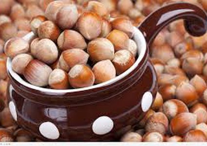 تعرف على فوائد البندق الرائعة لجسم الإنسان