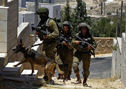 اعتقال مواطن ومداهمة منازل في الخليل