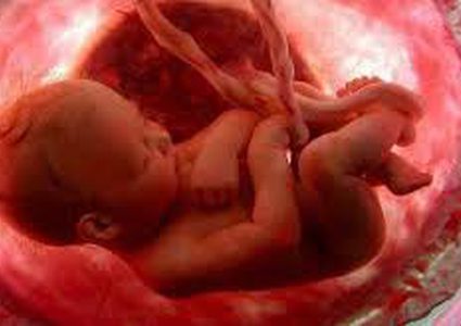 بريطانيا تطلق مشروع علمي لفك شيفرة تشوهات الأجنة