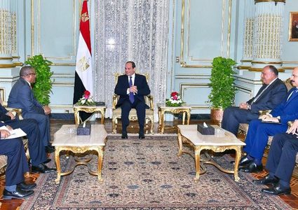 الرئيس المصري يناقش تطورات سد النهضة الإثيوبي