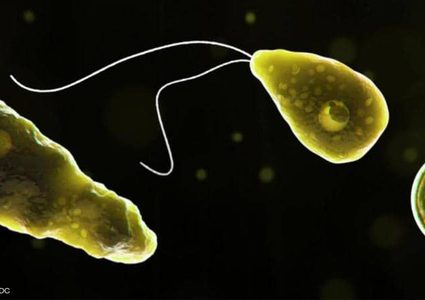 طفيلية "آكلة للدماغ" تقتل رجلا في بحيرة أميركية