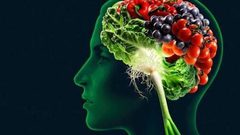 ما هي الأطعمة التي تنشط عقلك ؟
