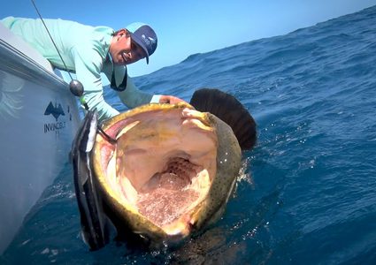 فيديو اصطياد "الأخفس العملاق" يحصد ملايين المشاهدات
