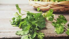 تعرف على بعض من فوائد الكزبرة..؟!