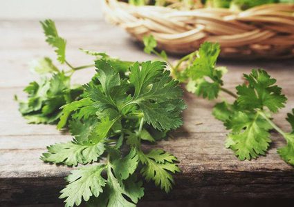 تعرف على بعض من فوائد الكزبرة..؟!