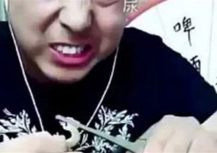 وفاة صيني في بث مباشر بعد تحدي "الحشرات السامة"