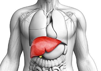 كيف تخلص جسمك من السموم بشكل طبيعي؟