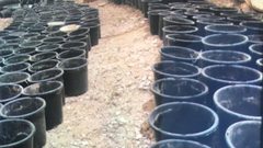 الشرطة تضبط مشتلاً للمخدرات قيد التجهيز في بيت لحم