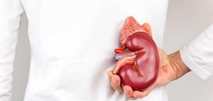 لماذا تختلف إصابات الكلى بين الرجال والنساء ؟