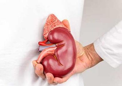 لماذا تختلف إصابات الكلى بين الرجال والنساء ؟