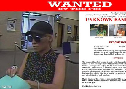 نمرة وردية تسطو على بنوك الولايات المتحدة