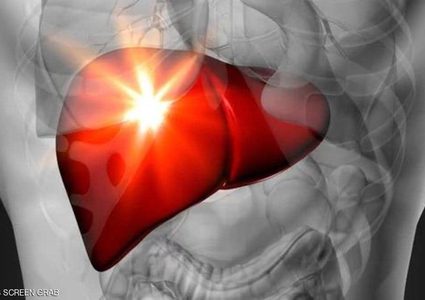 اكتشاف خلايا في الكبد قد تغني عن عمليات الزراعة