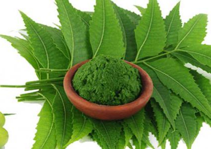 أوراق النيم والكركم للبشرة والشعر