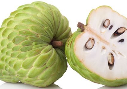 فاكهة القشطة مصدر غني للحامل