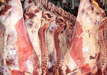 بشروط.. الأونروا توزع أضاحي العيد على آلاف الأسر الفقيرة بغزة